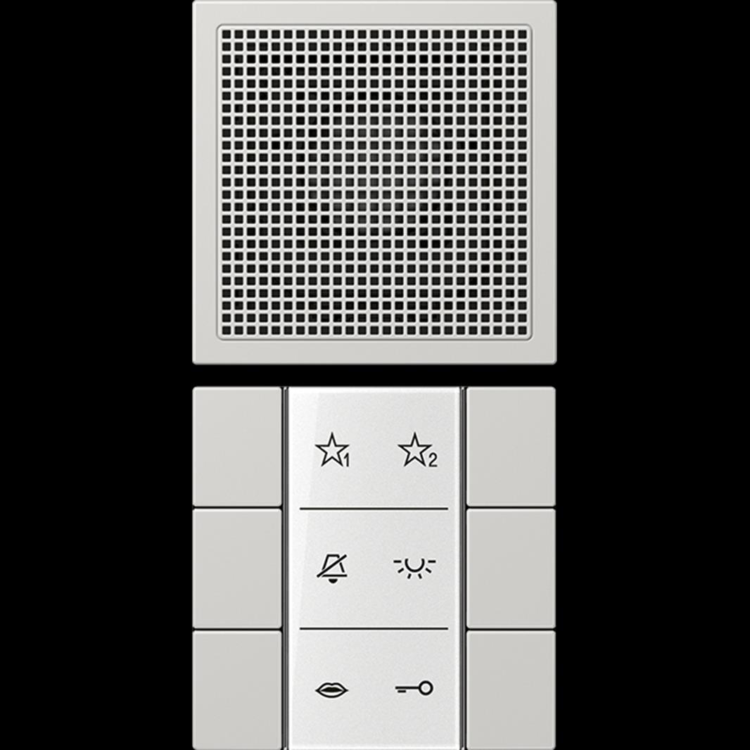 Audio-Innenstation, Serie LS, lichtgrau