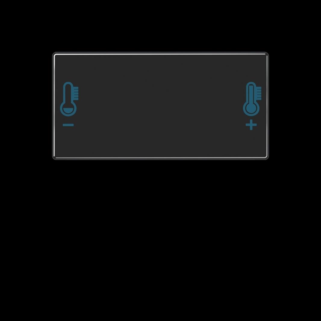 Jung Taste, F40 Raumcontroller, Temperatursymbol, Thermoplast, Serie AS/A, schwa