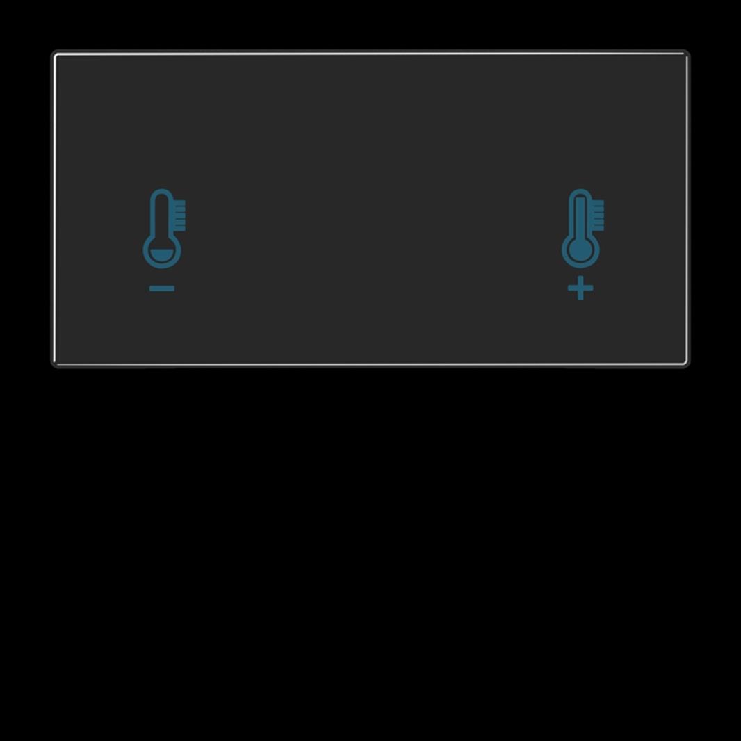 Jung Taste, F40 Raumcontroller, Temperatursymbol, Thermoplast, Serie LS, schwarz