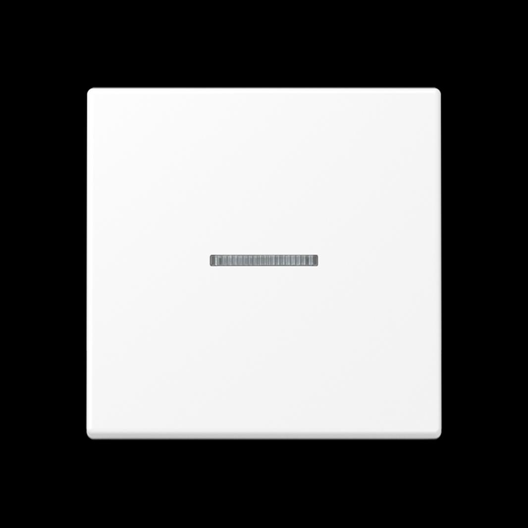 Jung eNet Taster Standard 1fach, mit Lichtleiter, Thermoplast lackiert, Serie A,