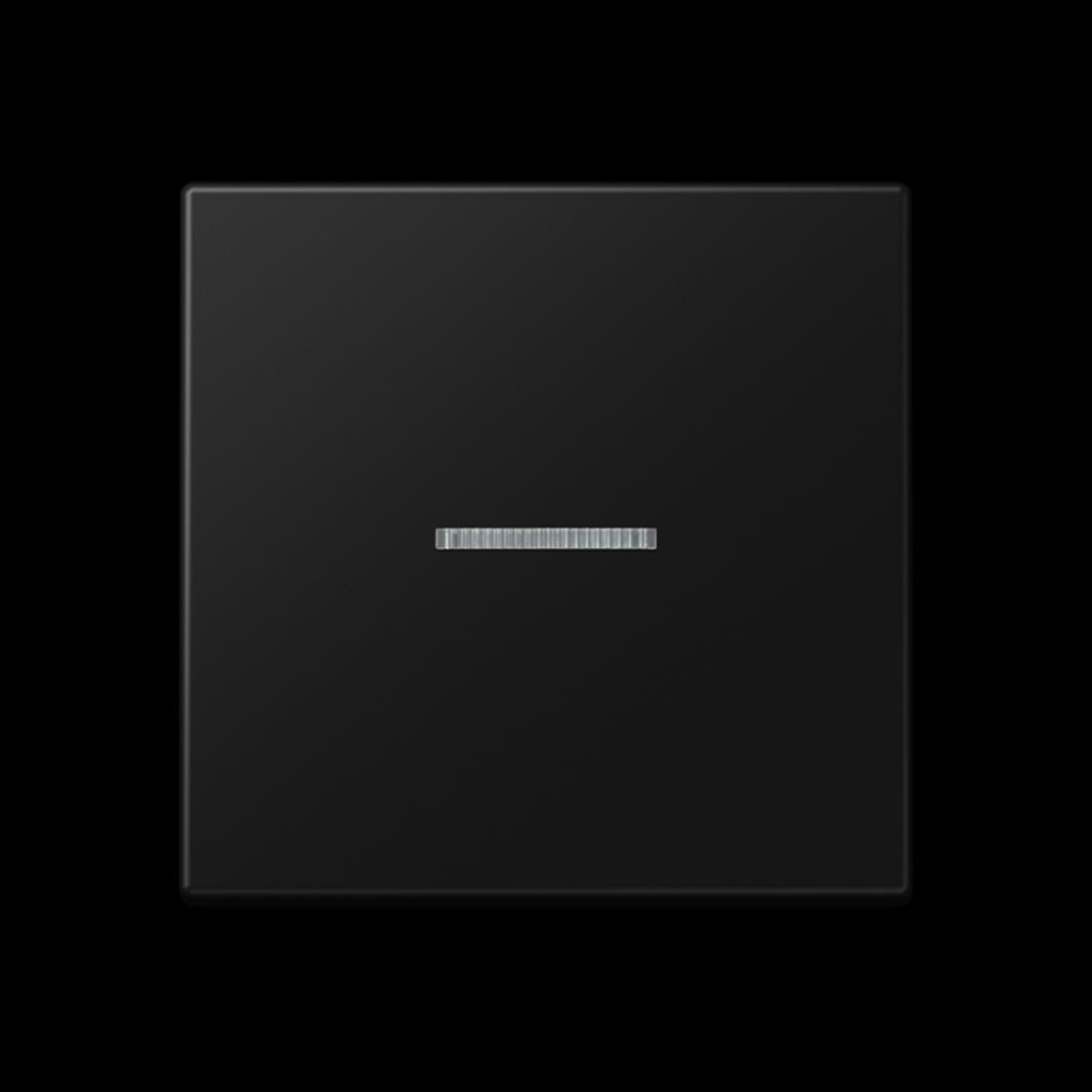 Jung eNet Taster Standard 1fach, mit Lichtleiter, Thermoplast lackiert, Serie A,