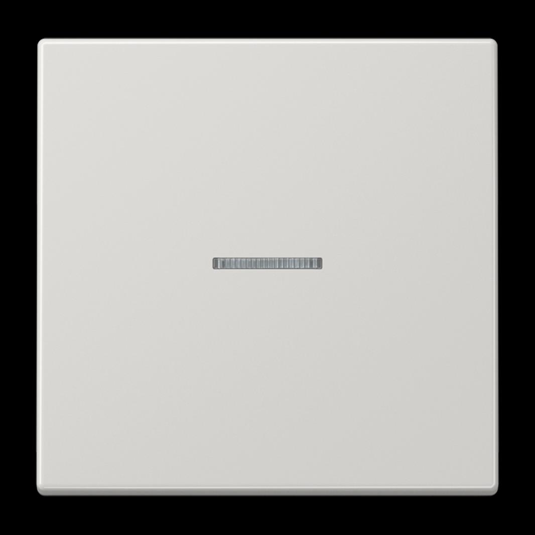 Jung KNX RF Taster, 1fach, Secure, Duroplast, Serie LS, lichtgrau