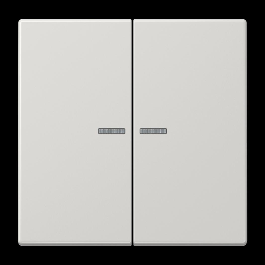 Jung KNX RF Taster, 2fach, Secure, Duroplast, Serie LS, lichtgrau