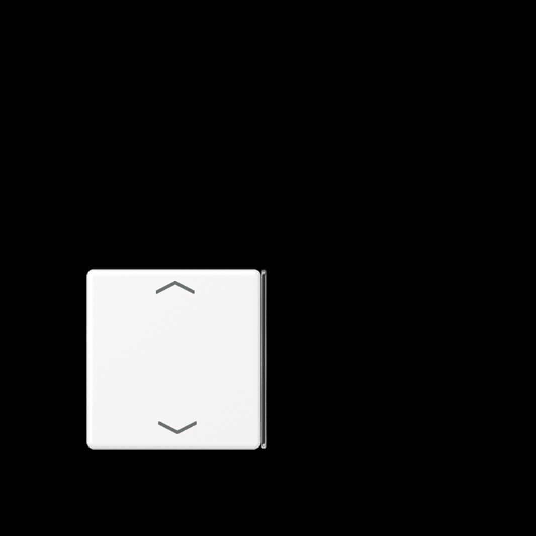 Jung Taste 2+3, F40, mit Pfeilsymbolen, Thermoplast lackiert, Serie A, schneewei