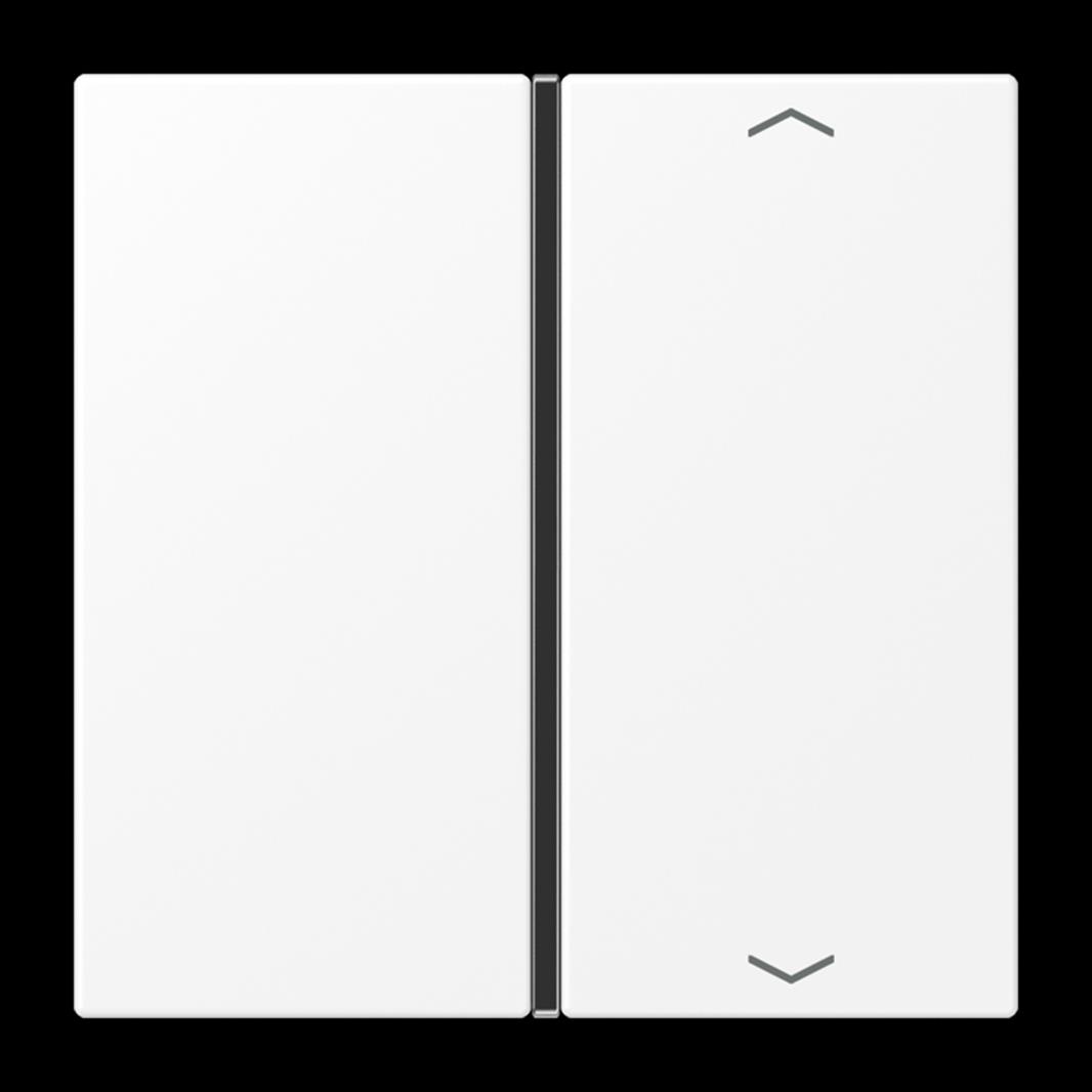 Jung Taste, F40, mit Pfeilsymbolen, Thermoplast lackiert, Serie LS, schneeweiß m