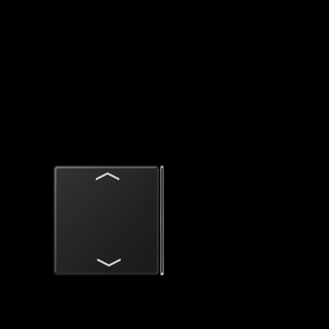 Jung Taste 2+3, F40, mit Pfeilsymbolen, Thermoplast lackiert, Serie A, graphitsc
