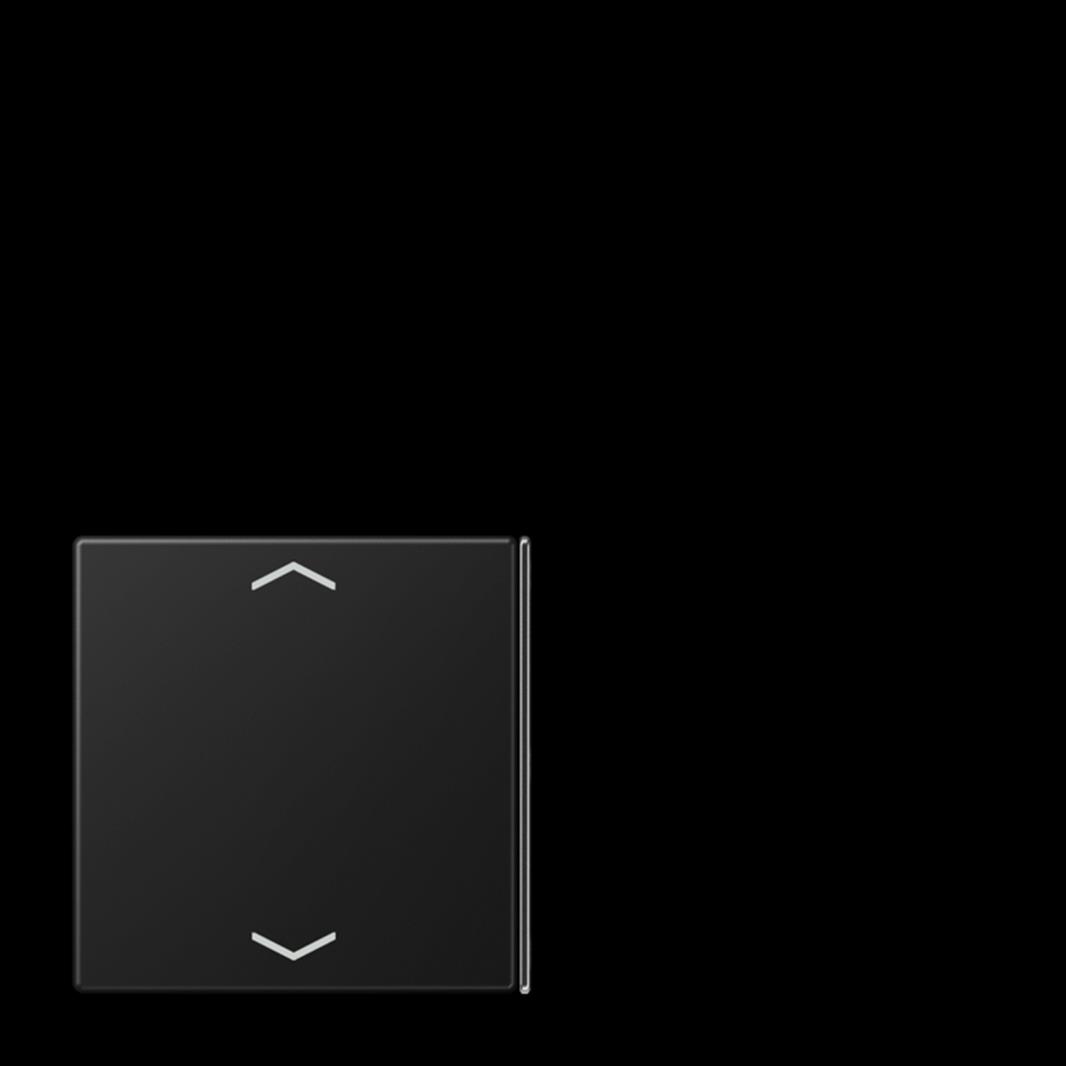 Jung Taste 2+3, F40, mit Pfeilsymbolen, Thermoplast lackiert, Serie LS, graphits