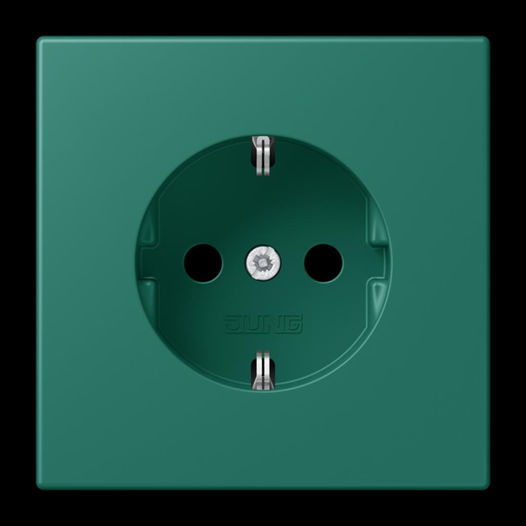 SCHUKO Steckdose, 16 A 250 V ~, SAFETY+, Duroplast lackiert, Serie LS, vert angl