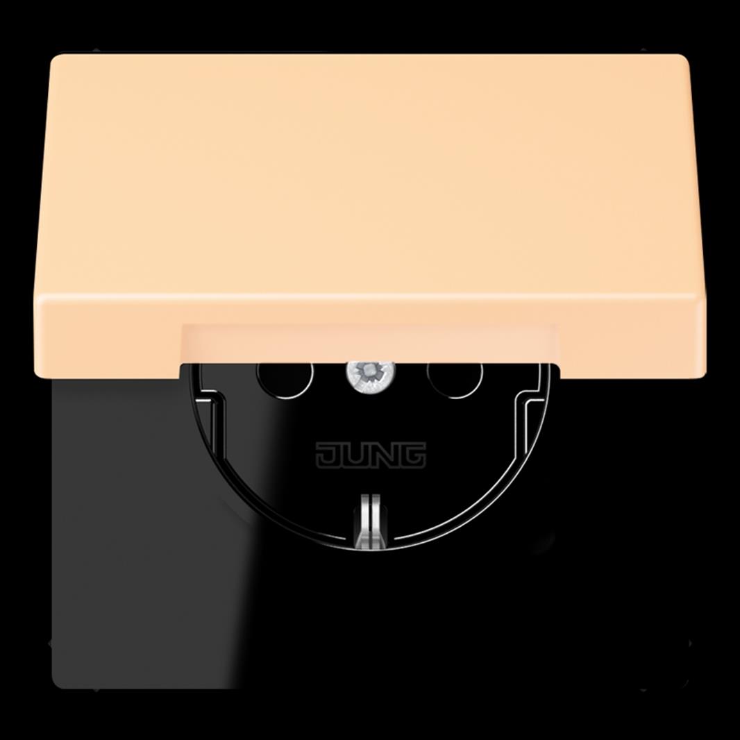 SCHUKO Steckdose, 16 A 250 V ~, Klappdeckel, Thermoplast lackiert, Serie LS, ocr