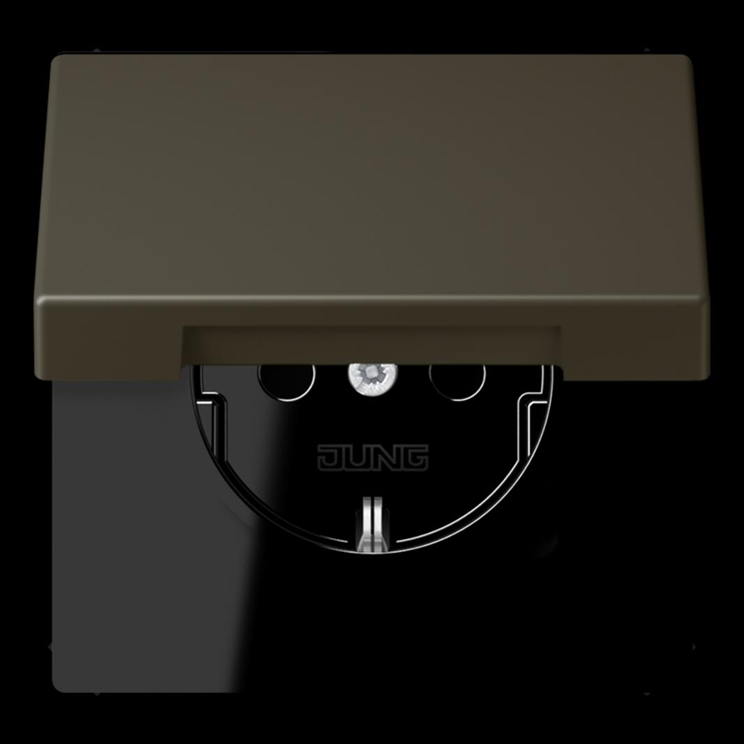 SCHUKO Steckdose, 16 A 250 V ~, Klappdeckel, Thermoplast lackiert, Serie LS, omb