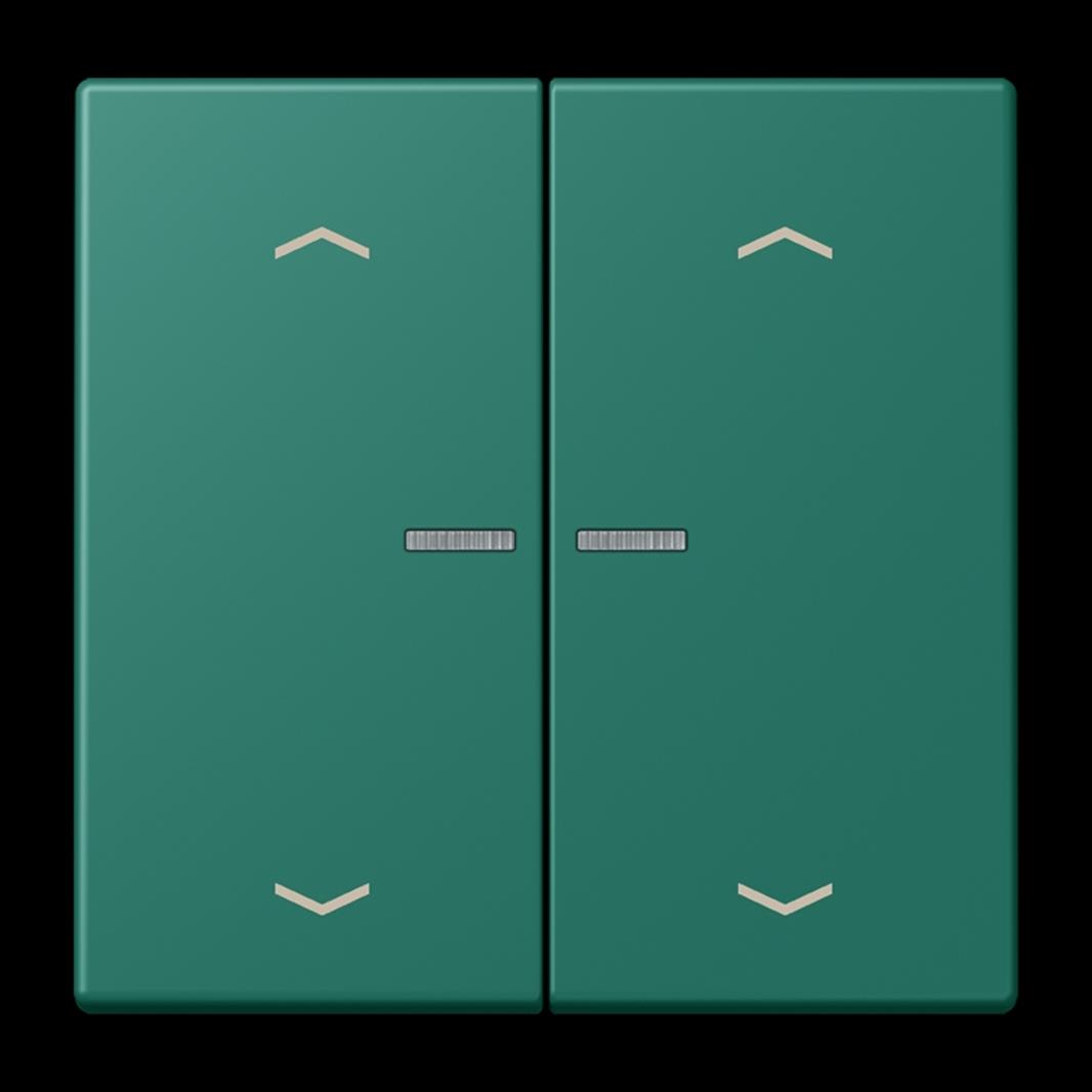 Jung JUNG HOME Taster 2fach, mit Pfeilsymbolen, Duroplast lackiert, Serie LS, ve