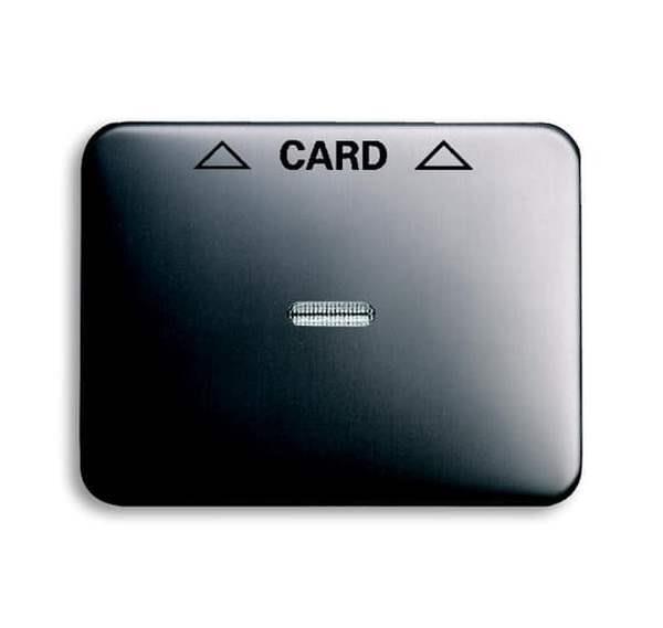 Busch-Jäger 1792-20-101-Zentralscheibe Cardschalter