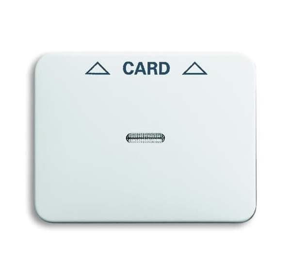 Busch-Jäger 1792-24G-101-Zentralscheibe Cardschalter