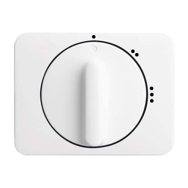 Busch-Jäger 2542 DR/02-24G-Zentralscheibe mit Drehgriff, mit Aufdruck