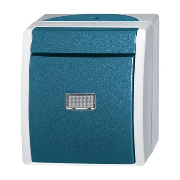 Busch-Jäger 2621 W-53-206-Wipptaster Wechsler Busch-Jäger 2621 W-53-206-Wipptaster Wechsler