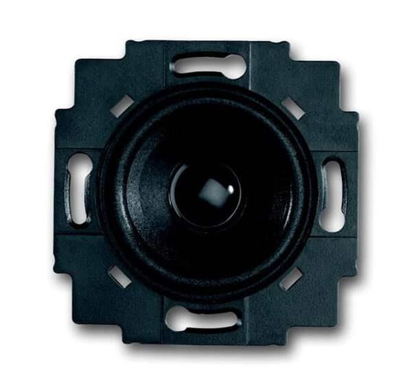 Busch-Jäger 8223 U-Lautsprecher-Einsatz 5 cm (2)