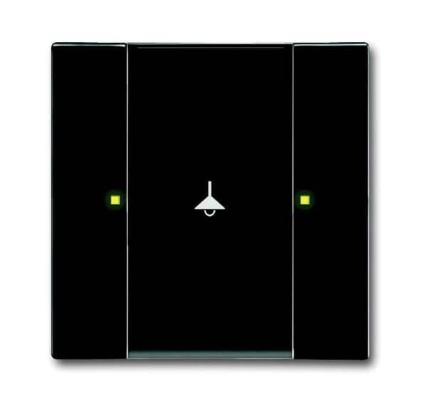 Busch-Jäger 6125/02-81-Bedienelement, 1/2-fach Multifunktion/Farbkonzept