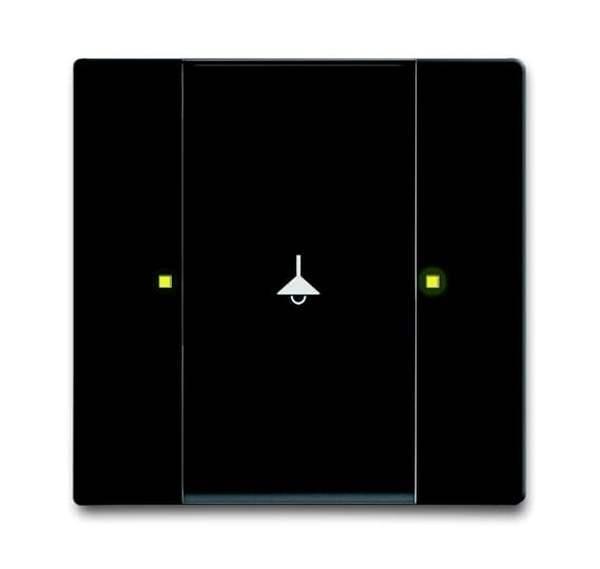 Busch-Jäger 6125/02-885-Bedienelement, 1/2-fach Multifunktion/Farbkonzept