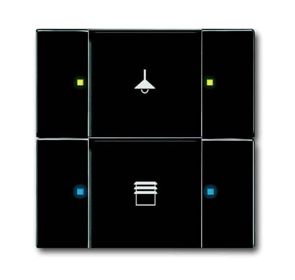 Busch-Jäger 6126/02-885-Bedienelement, 2/4-fach Multifunktion/Farbkonzept