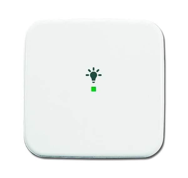Busch-Jäger 6231-10-214-Wippe 1-fach, mit Symbol Licht