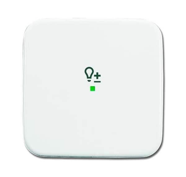 Busch-Jäger 6234-10-214-Wippe 1-fach, mit Symbol Dimmer