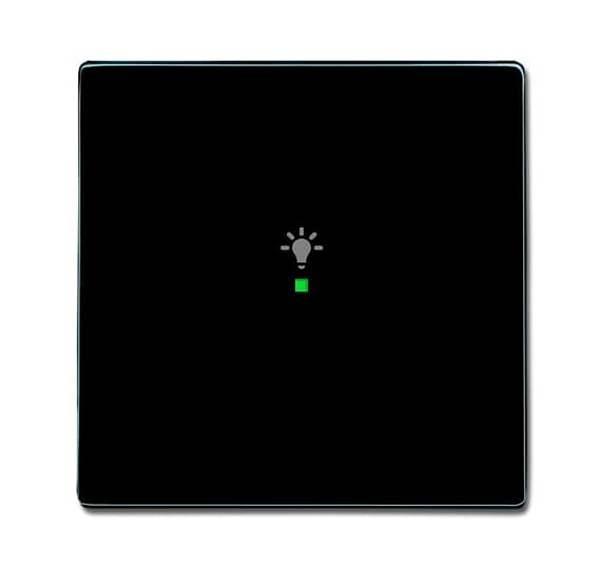 Busch-Jäger 6231-10-81-Wippe 1-fach, mit Symbol Licht