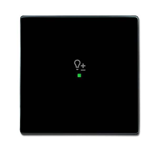 Busch-Jäger 6234-10-81-Wippe 1-fach, mit Symbol Dimmer