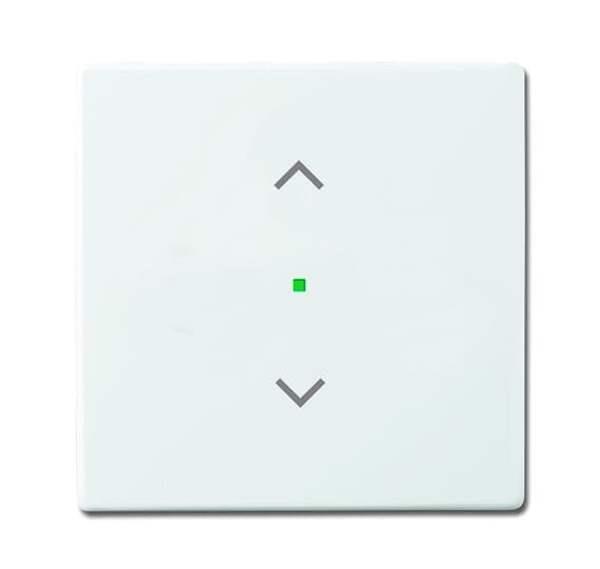 Busch-Jäger 6232-10-84-Wippe 1-fach, mit Symbol Jalousie