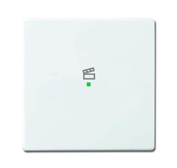 Busch-Jäger 6233-10-84-Wippe 1-fach, mit Symbol Szene