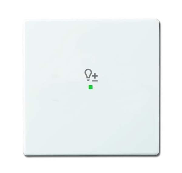 Busch-Jäger 6234-10-84-Wippe 1-fach, mit Symbol Dimmer