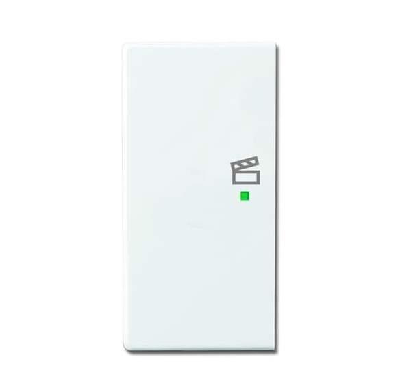 Busch-Jäger 6233-21-84-Wippe 2-fach links, mit Symbol Szene