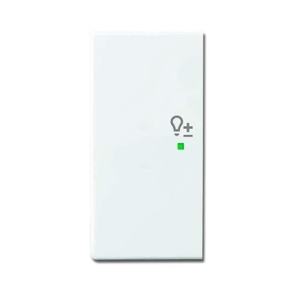 Busch-Jäger 6234-21-84-Wippe 2-fach links, mit Symbol Dimmer