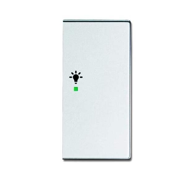 Busch-Jäger 6231-22-83-Wippe 2-fach rechts, mit Symbol Licht