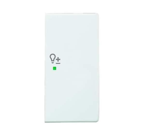 Busch-Jäger 6234-22-84-Wippe 2-fach rechts, mit Symbol Dimmer