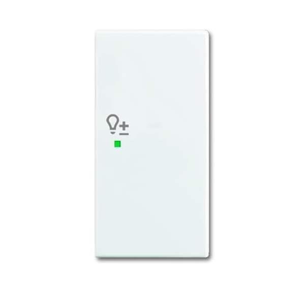 Busch-Jäger 6234-22-914-Wippe 2-fach rechts, mit Symbol Dimmer