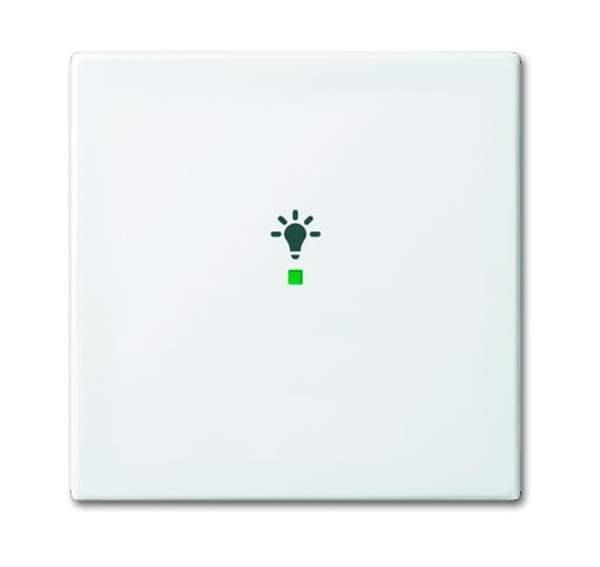 Busch-Jäger Wippe 1-fach, mit Symbol 