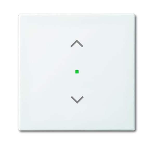 Busch-Jäger 6232-10-914-Wippe 1-fach, mit Symbol Jalousie