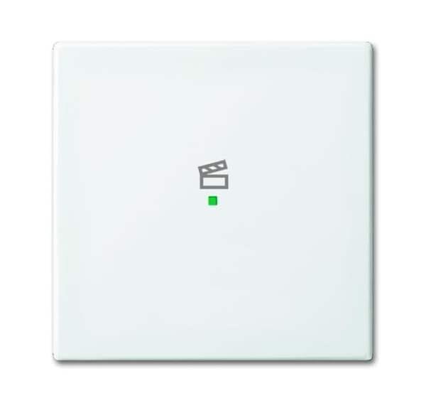Busch-Jäger 6233-10-914-Wippe 1-fach, mit Symbol Szene