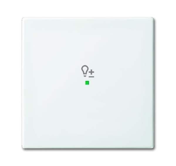 Busch-Jäger 6234-10-914-Wippe 1-fach, mit Symbol Dimmer