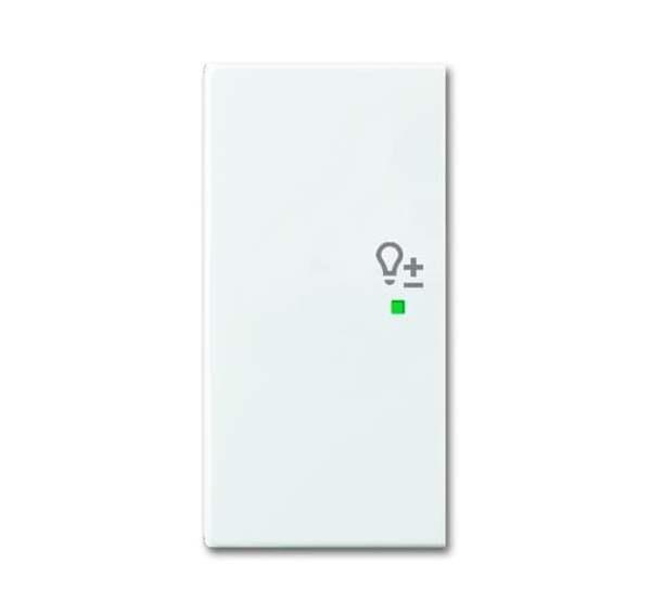 Busch-Jäger 6234-21-914-Wippe 2-fach links, mit Symbol Dimmer