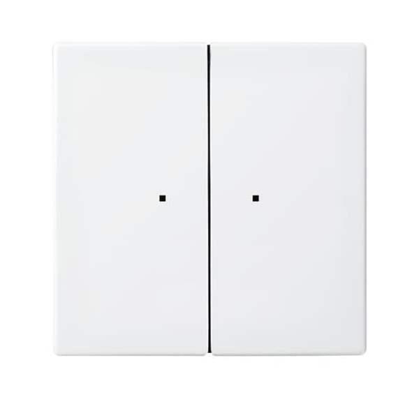 Busch-Jäger 6732-914-Wandsender WaveLINE 2 Kanal