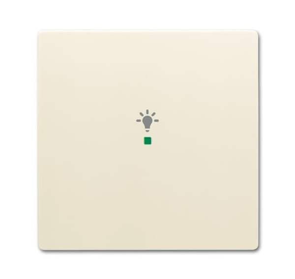Busch-Jäger 6231-10-82-Wippe 1-fach, mit Symbol Licht