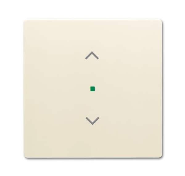 Busch-Jäger 6232-10-82-Wippe 1-fach, mit Symbol Jalousie