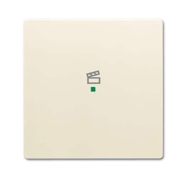 Busch-Jäger 6233-10-82-Wippe 1-fach, mit Symbol Szene