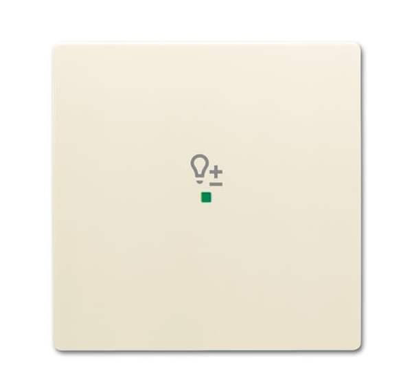 Busch-Jäger 6234-10-82-Wippe 1-fach, mit Symbol Dimmer