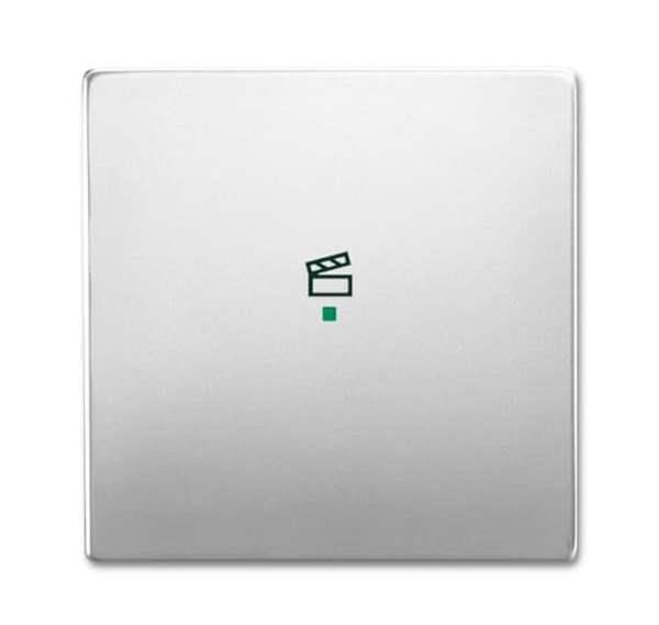 Busch-Jäger 6233-10-866-Wippe 1-fach, mit Symbol Szene