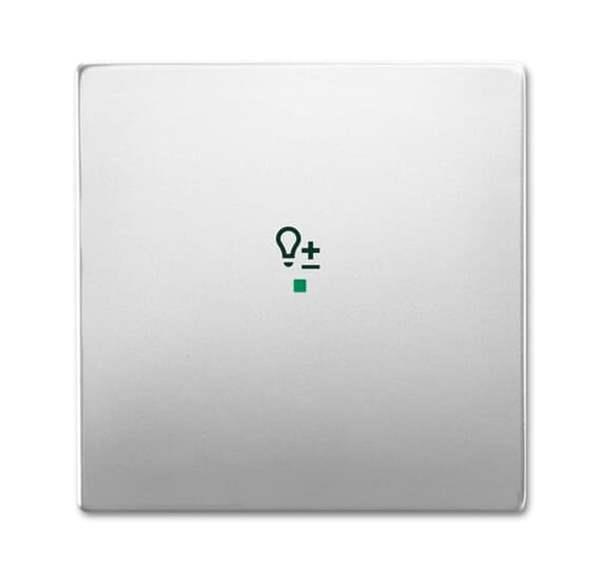 Busch-Jäger 6234-10-866-Wippe 1-fach, mit Symbol Dimmer