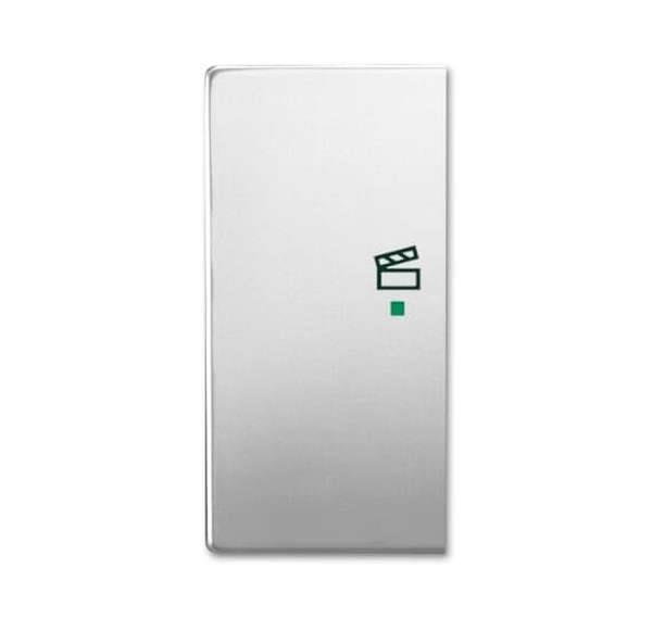 Busch-Jäger 6233-21-866-Wippe 2-fach links, mit Symbol Szene