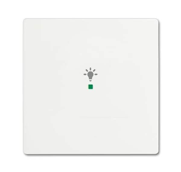 Busch-Jäger 6231-10-884-Wippe 1-fach, mit Symbol Licht