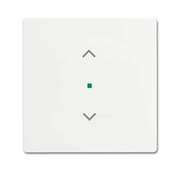 Busch-Jäger 6232-10-884-Wippe 1-fach, mit Symbol Jalousie